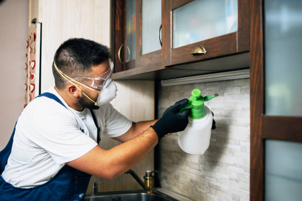 Pest Prevention Services in Saw Creek, PA