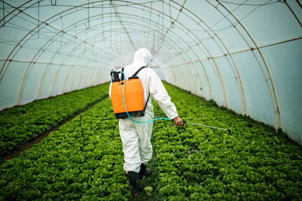 Best Pest Inspection Near Me  in Saw Creek, PA