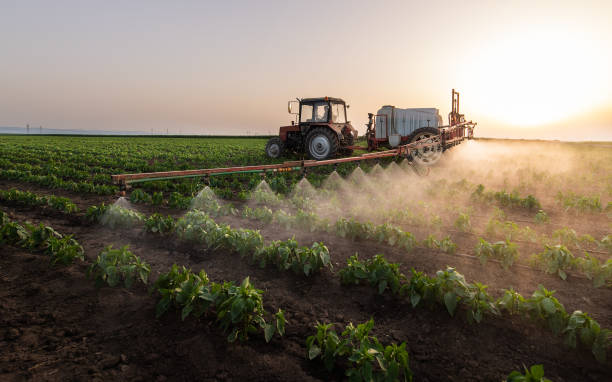 Professional Pest Control in Saw Creek, PA