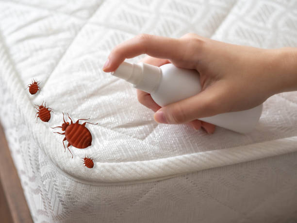 Best Flea Control Services  in Saw Creek, PA